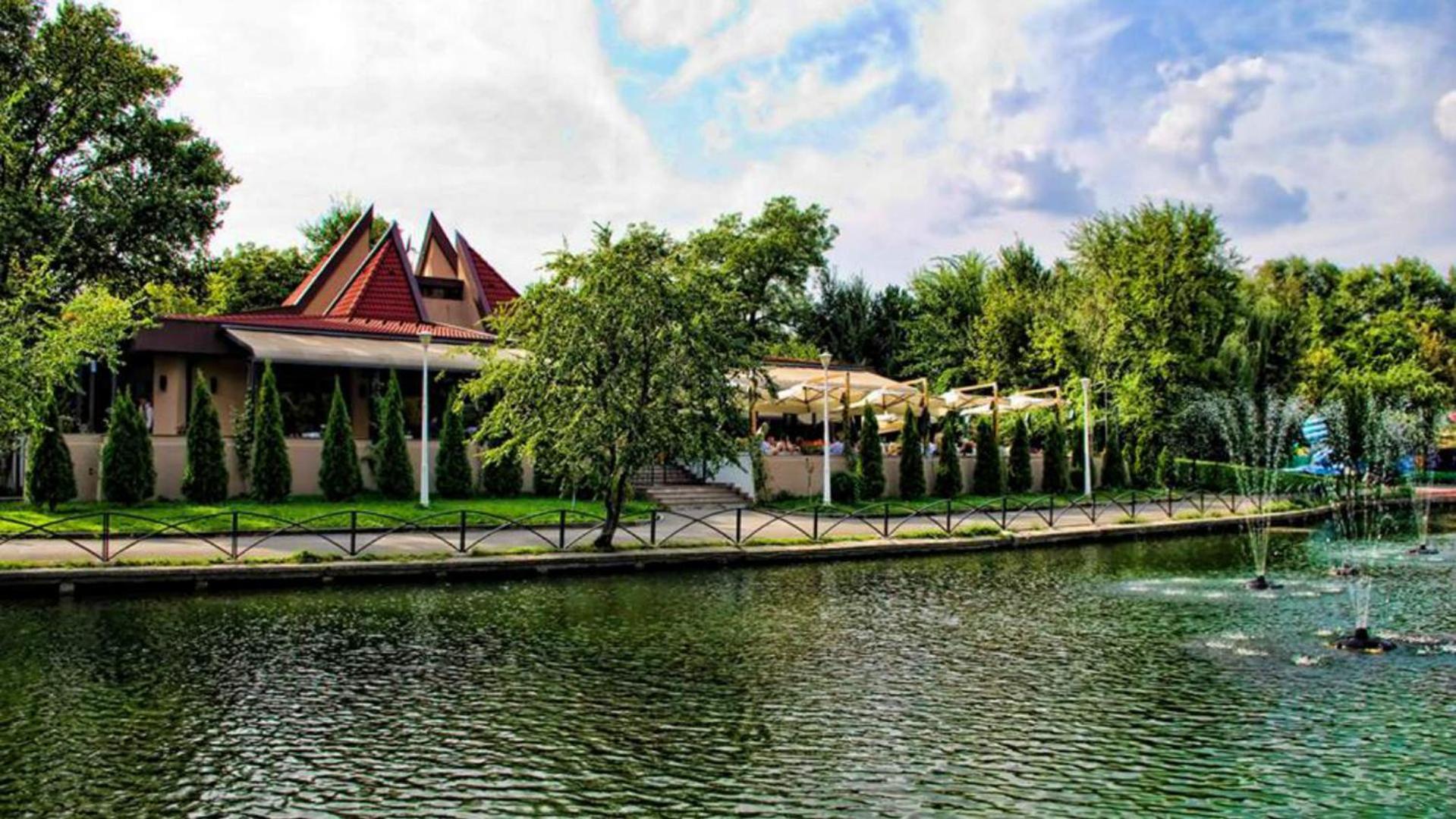 Aldira Arena Nationala * Bukarest